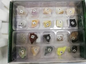 Tishk International University | Workshops