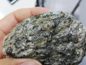 Tishk International University | Workshops