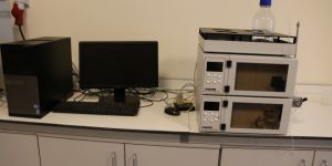 Tishk International University | Workshops