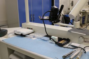 Tishk International University | Workshops